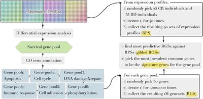 Gene Expression-Based Predictive Markers for Paclitaxel Treatment in ER+ and ER− Breast Cancer